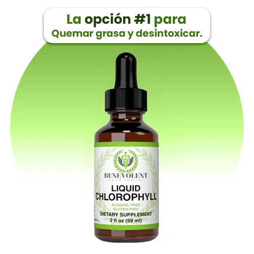 Adelgaza Rápido – Detox Natural y Energía Instantánea