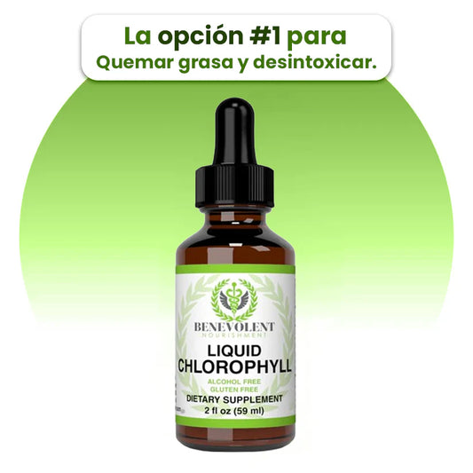 Adelgaza Rápido – Detox Natural y Energía Instantánea